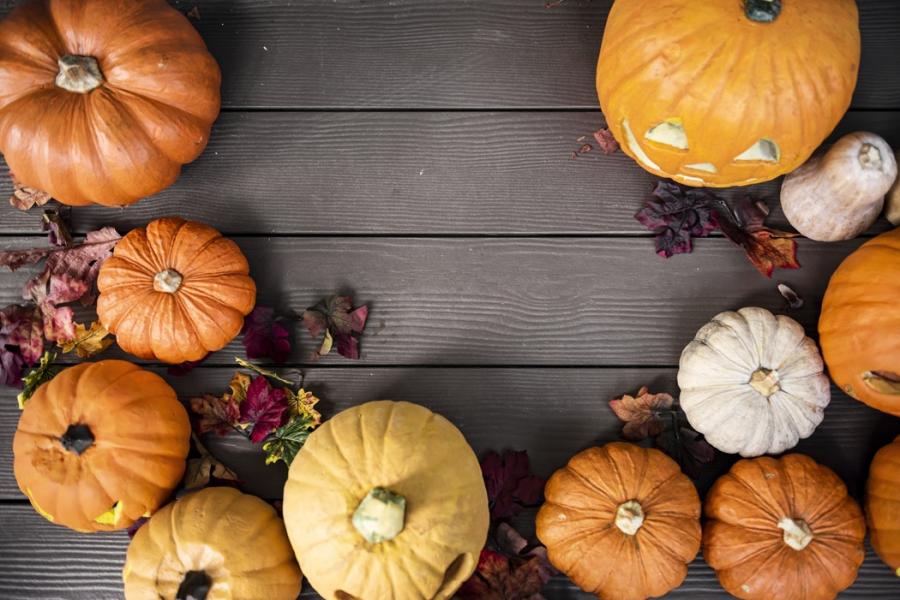 Halloween in Paris; thrills guaranteed