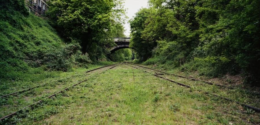 Secret Paris; the Petite Ceinture