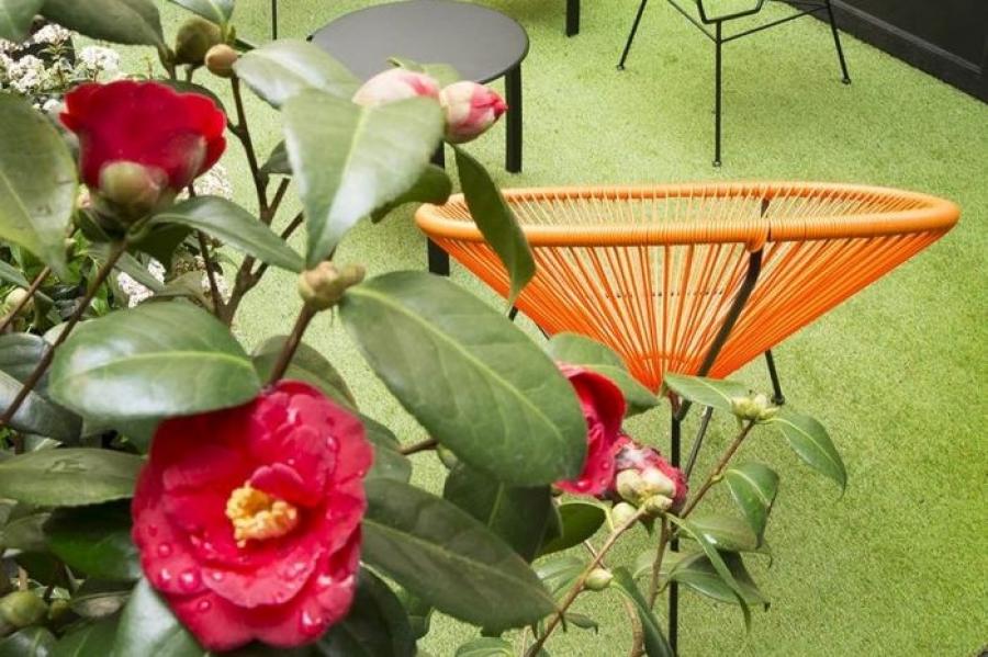 Nature’s bounty in the heart of Paris